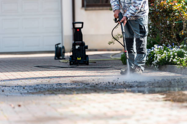 Best Roof Power Washing Services  in Platte, SD