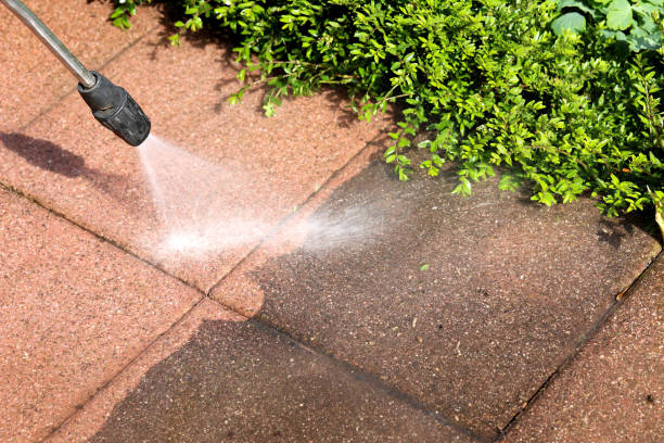 Best Best Pressure Washing Companies  in Platte, SD